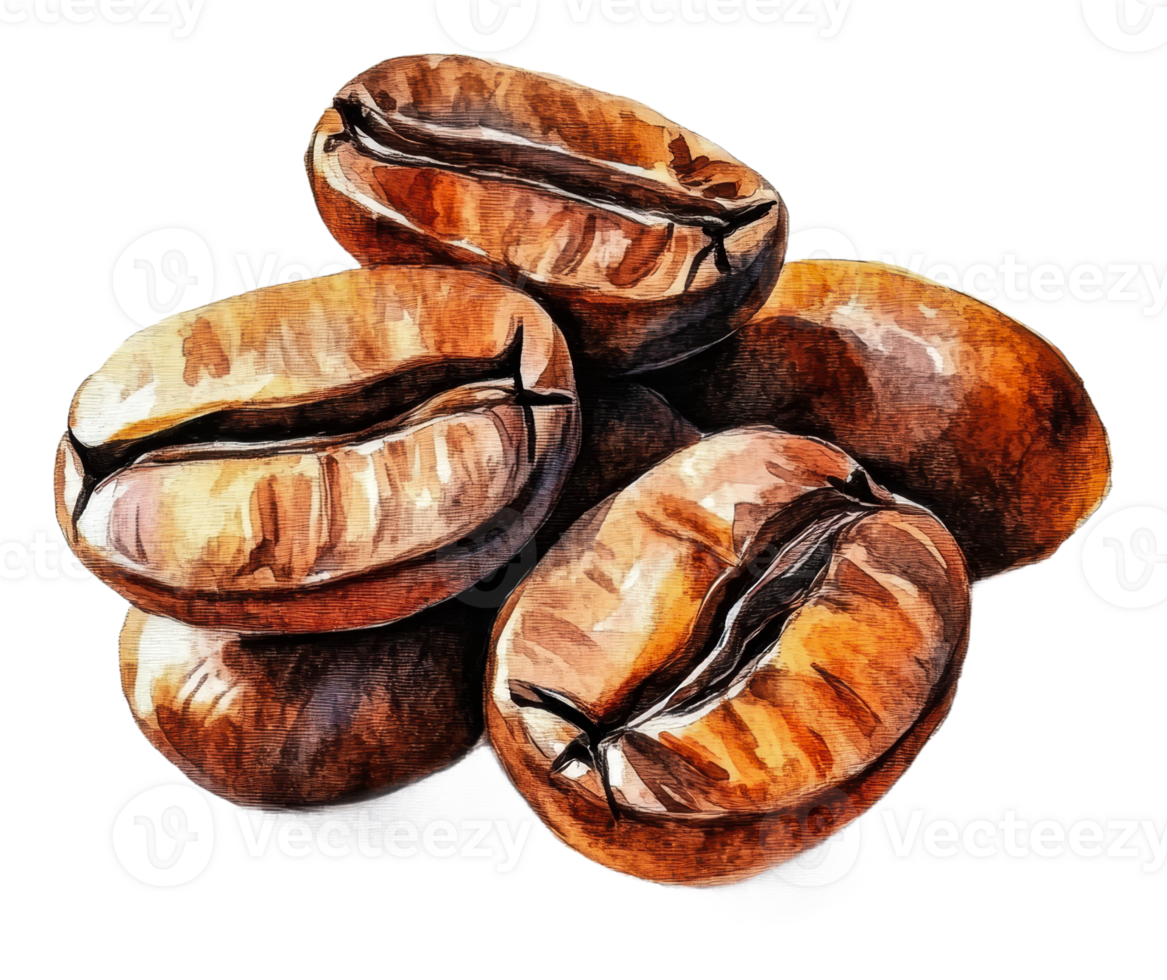 Coffee beans artfully arranged on white, cut out - stock . png