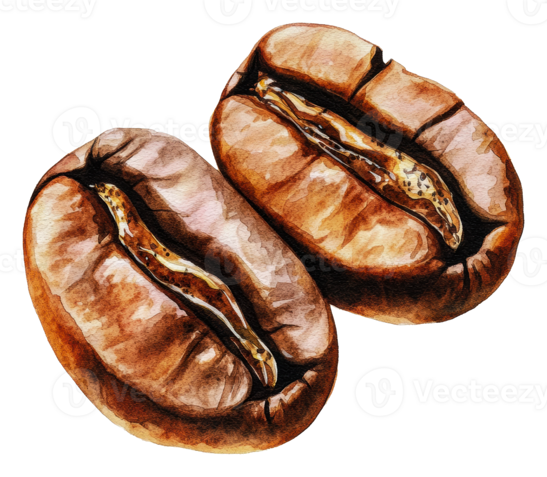 Freshly roasted coffee beans on a white background, cut out - stock . png