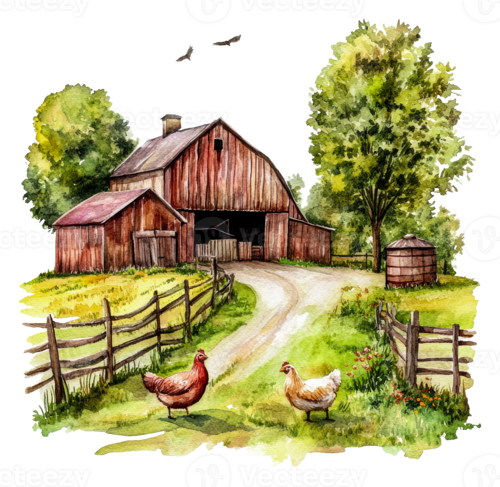 Chickens roaming near a rustic barn on a sunny day, cut out - stock . png
