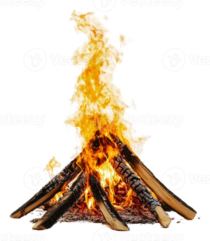 Evening campfire with logs ablaze, cut out - stock . png