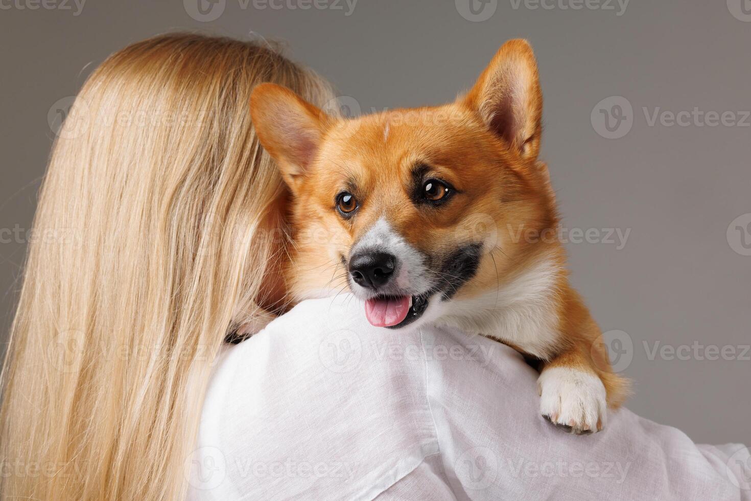 a brunette girl holds and hugs a red corgi dog on a clean light background photo