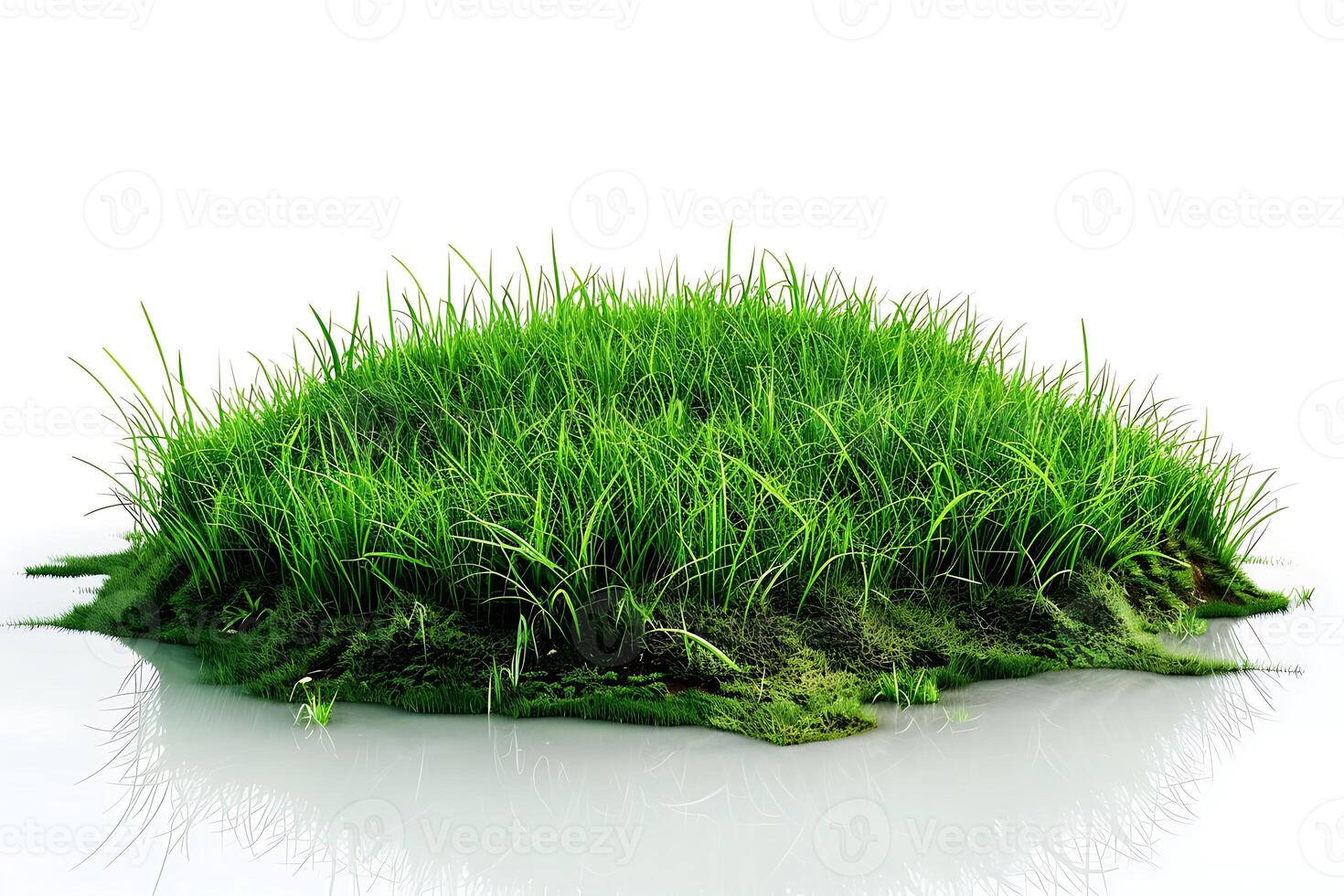 Green grass island isolate on white background, 3d rendering photo