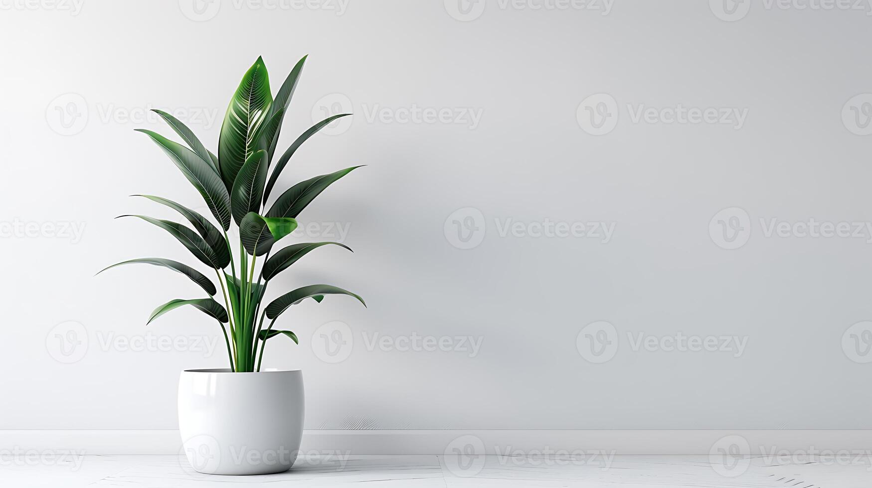 Modern indoor plant isolate on white background, Decorative concept. 3d rendering photo