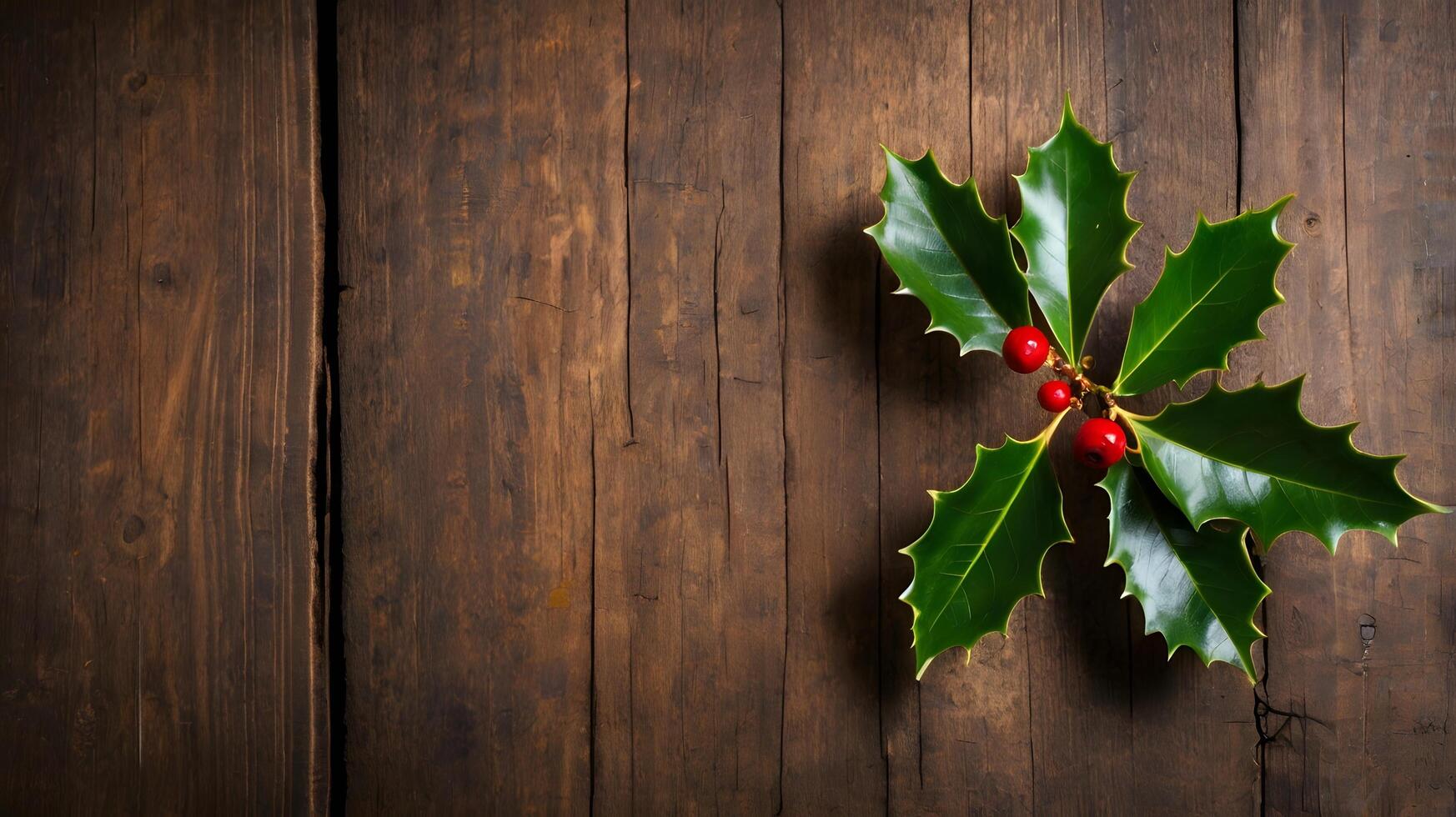 Some Holly Berry Leaves on a wooden background photo