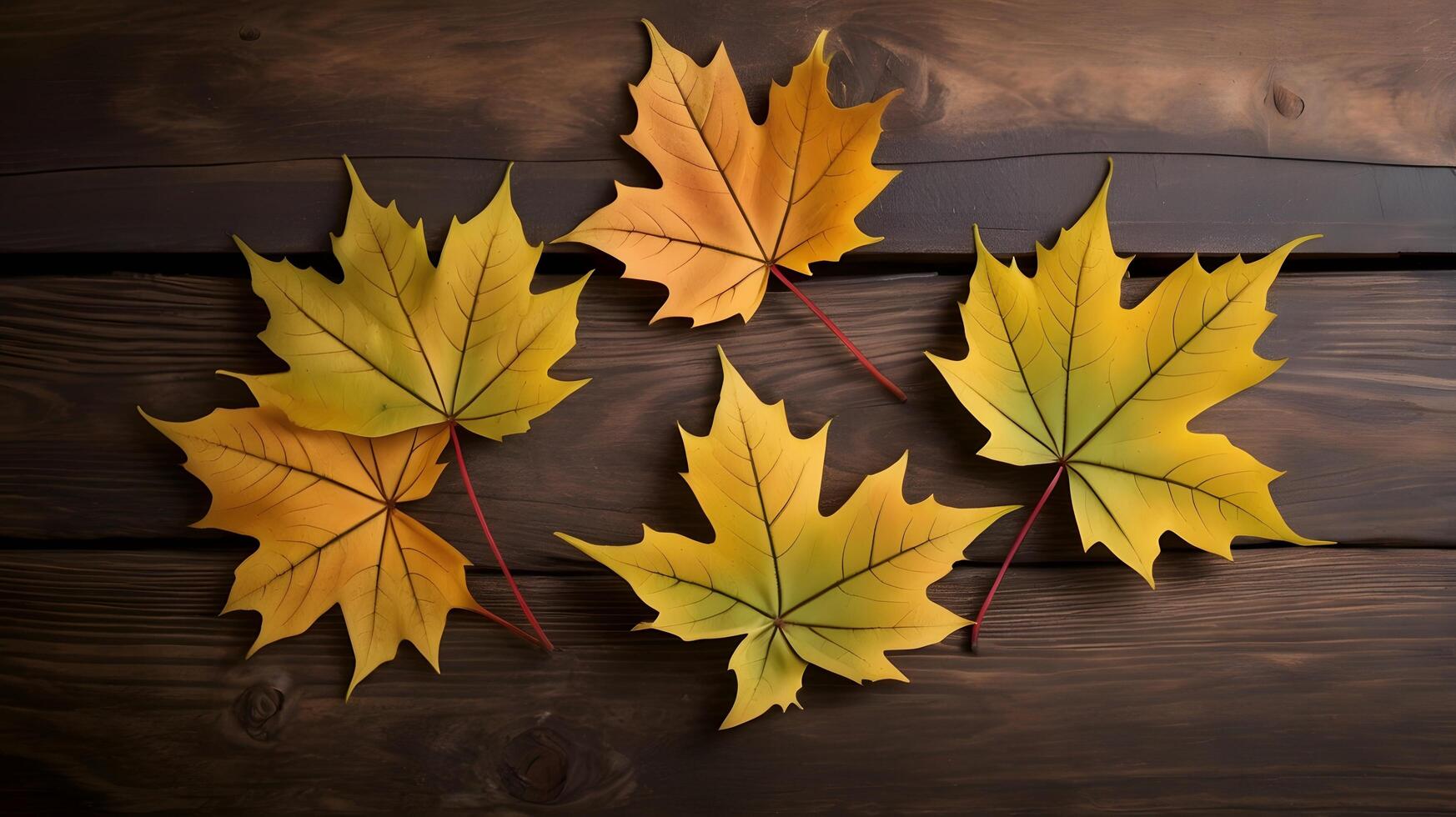 Colorful Autumn Fall Maple Leaves wood background photo