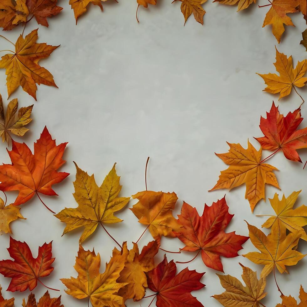 Colorful Autumn Fall Maple Leaves white background photo
