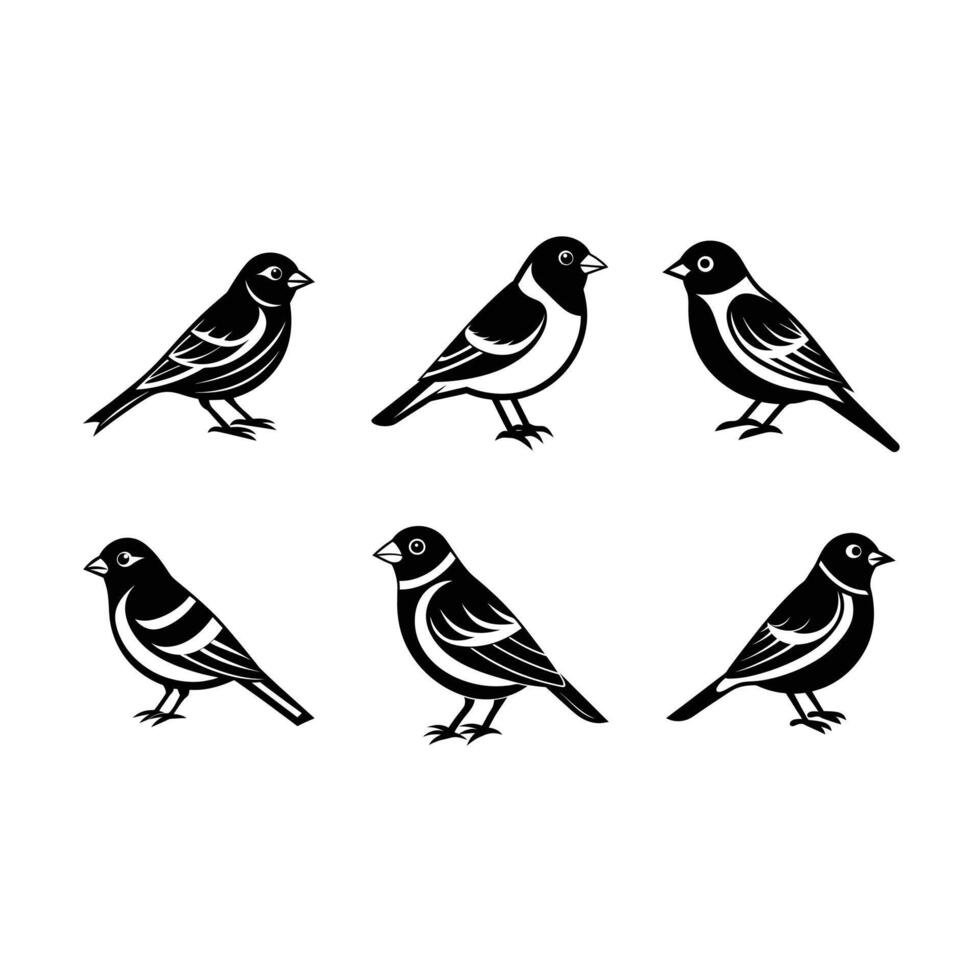 Beautiful finch bird art, perfect for creative projects and designs vector