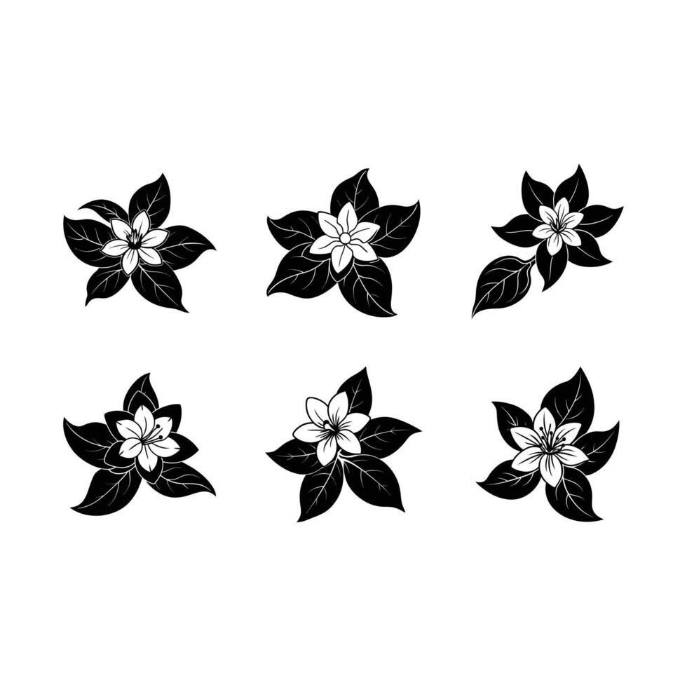 Beautiful jasmine flower and line art design, perfect for various creative projects vector