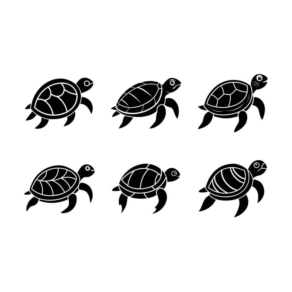 Turtle and Line Art Design vector
