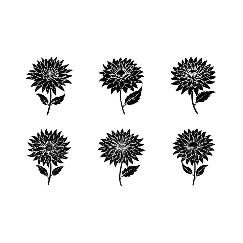 aster flower and line art design for digital use and printables. vector