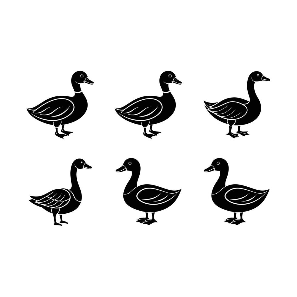 Elegant goose and line art created with for digital designs vector