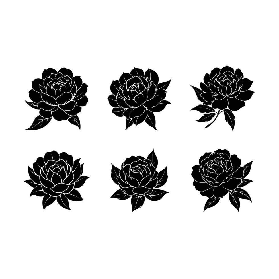 Beautiful peony flower and line art design for creative projects. vector