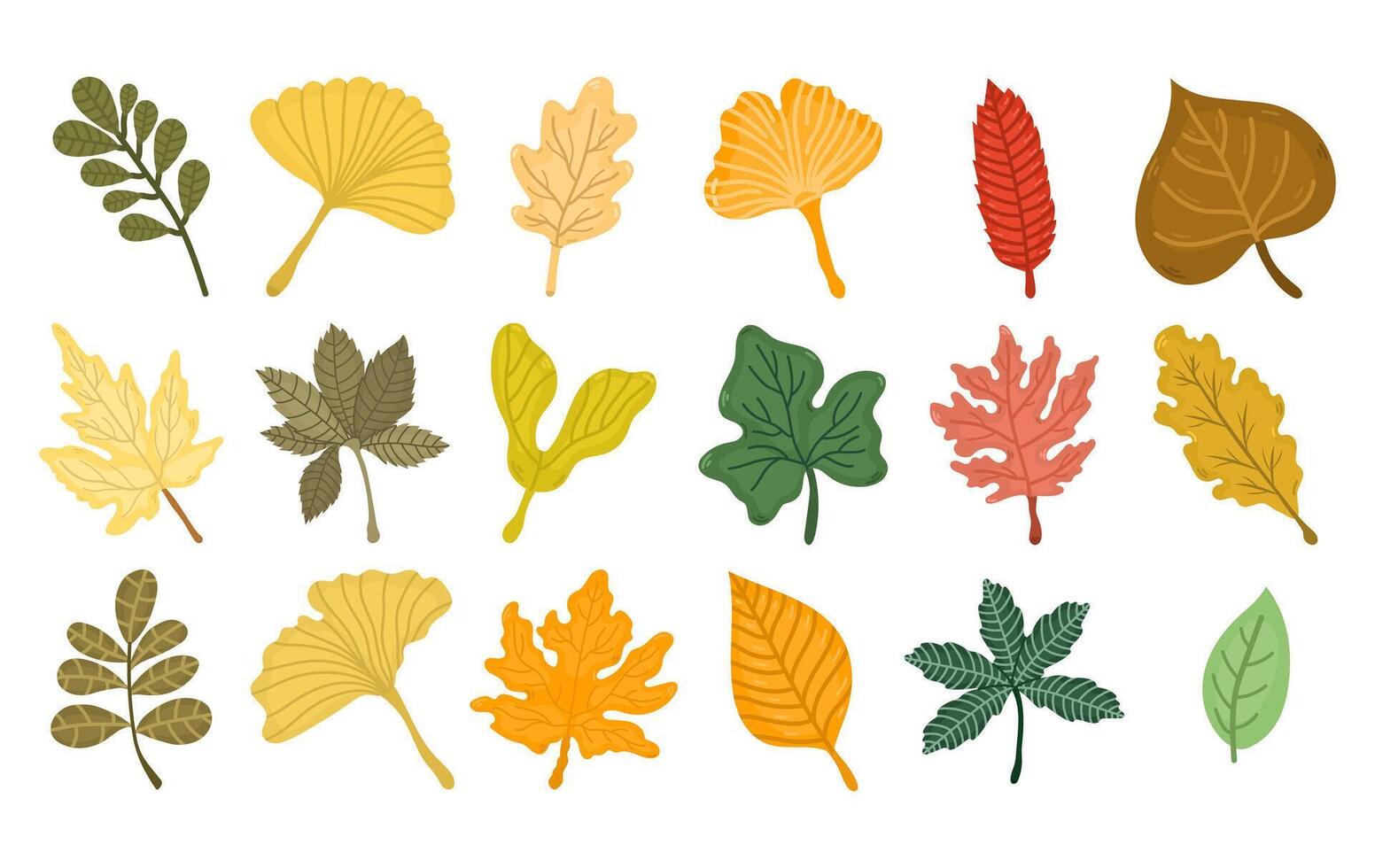 Collection or set with different autumn leaves on white background. Illustration with different leaves and branches vector