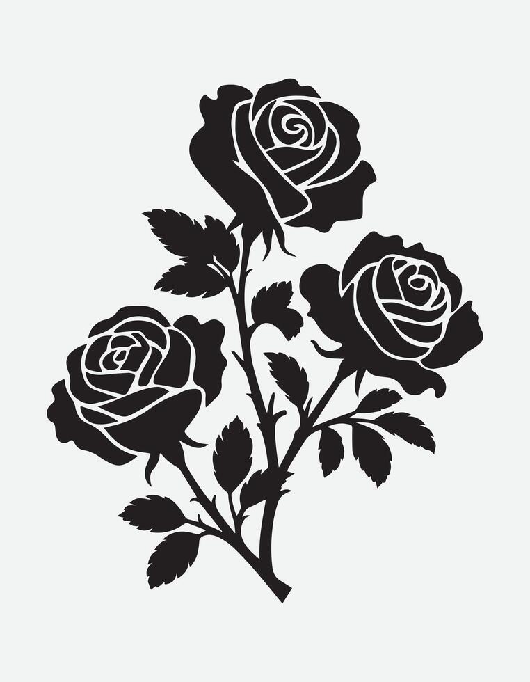 black and white illustration rose flower vector