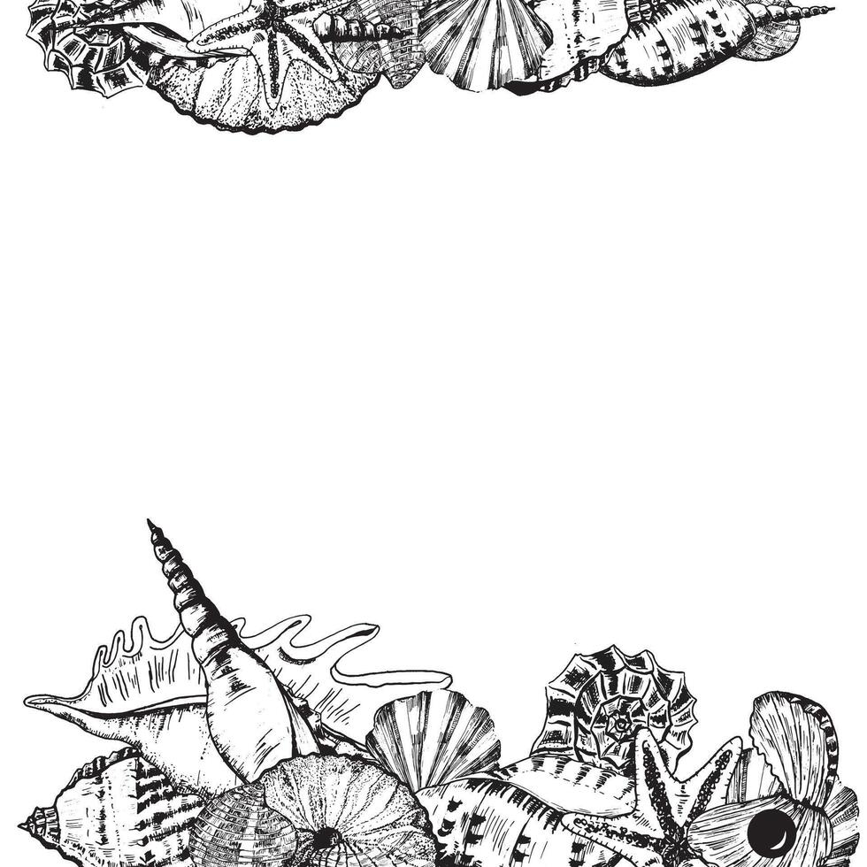 Upper and lower decorative borders with sea shells, stars and pearls. Black and white. Vectorized Hand-drawn ink illustration. vector