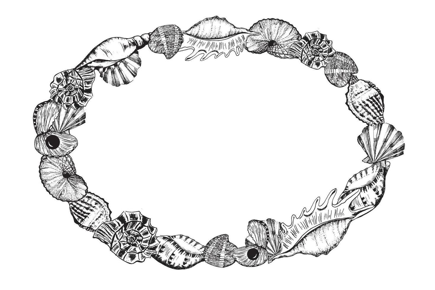 Oval frame with different sea shells. Vectorized hand-drawn ink illustration. Black and white. vector