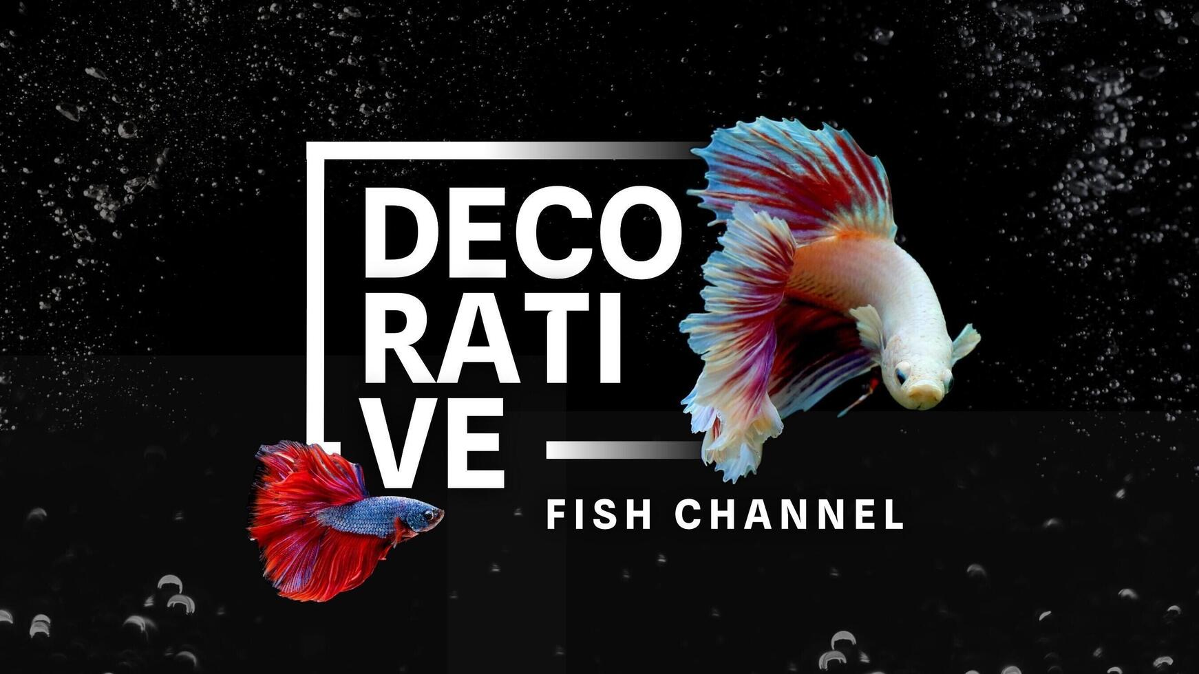 Animal Fish Youtube Channel Banner Template