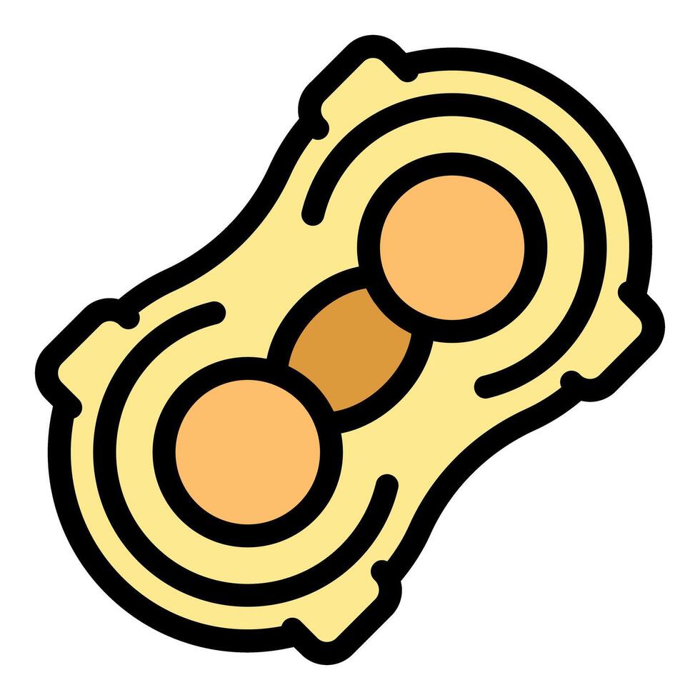 Macadamia nut in shell being opened showing two halves vector