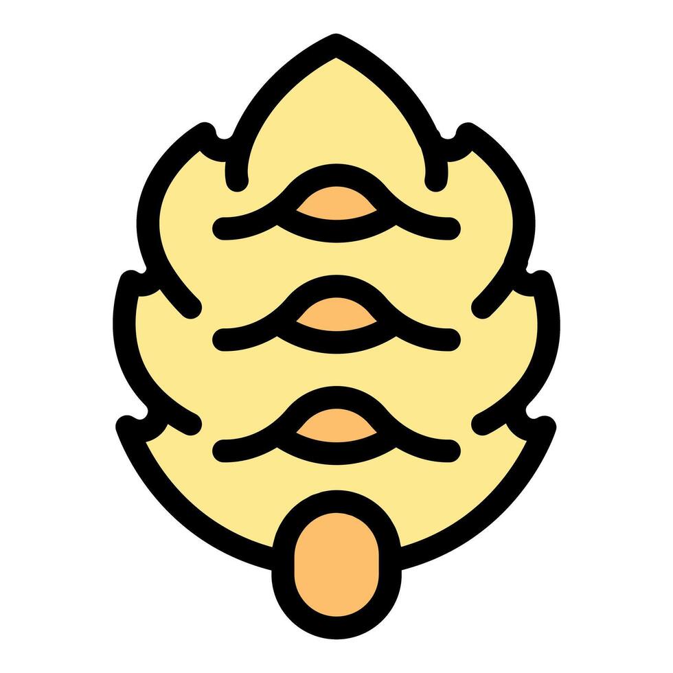 Yellow cedar cone with scales and seeds representing gymnosperm reproduction vector