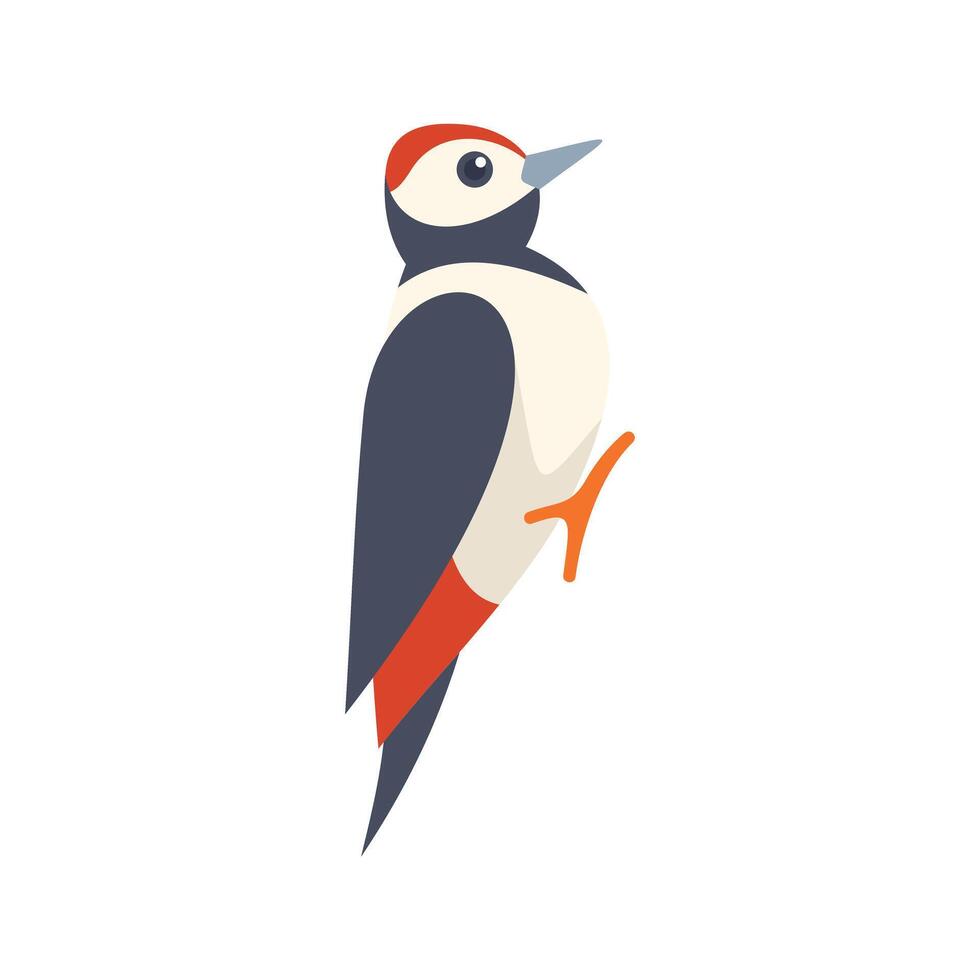 Great spotted woodpecker perched on tree trunk looking up vector