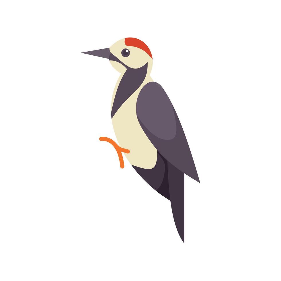 Woodpecker perching on a tree branch illustration vector