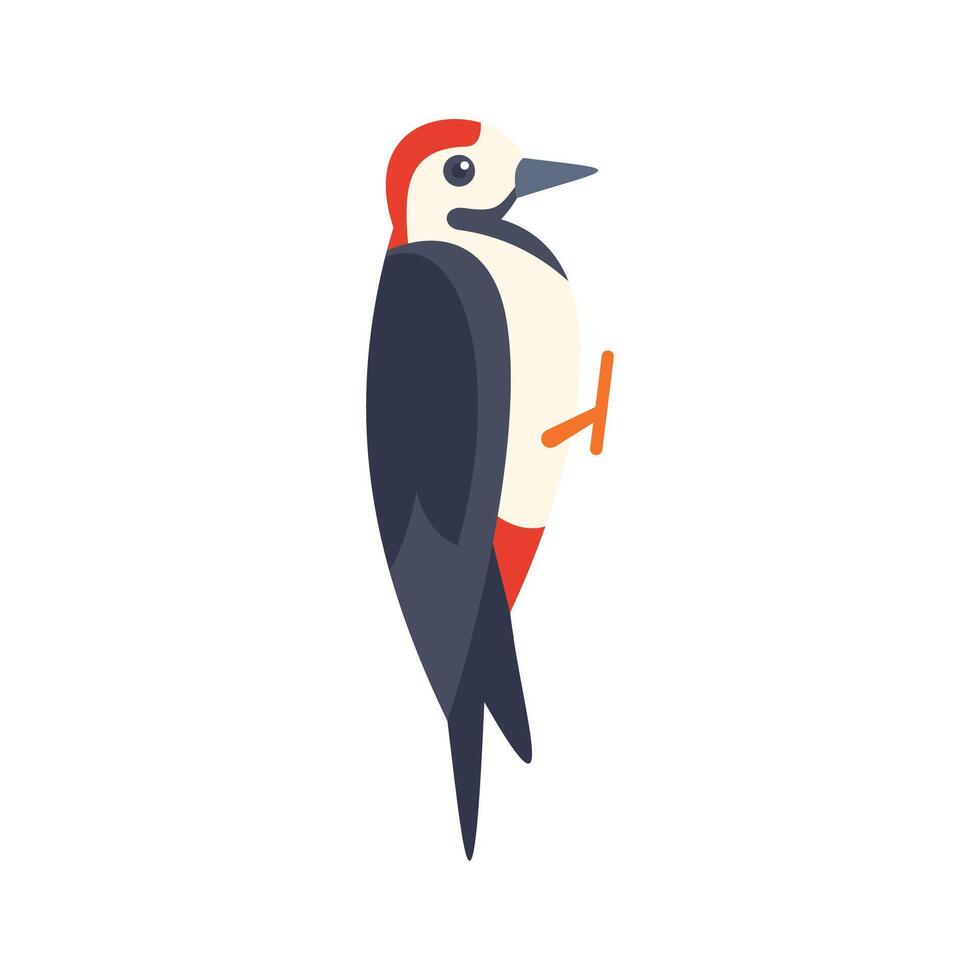 Red headed woodpecker perched on branch looking right sideways vector
