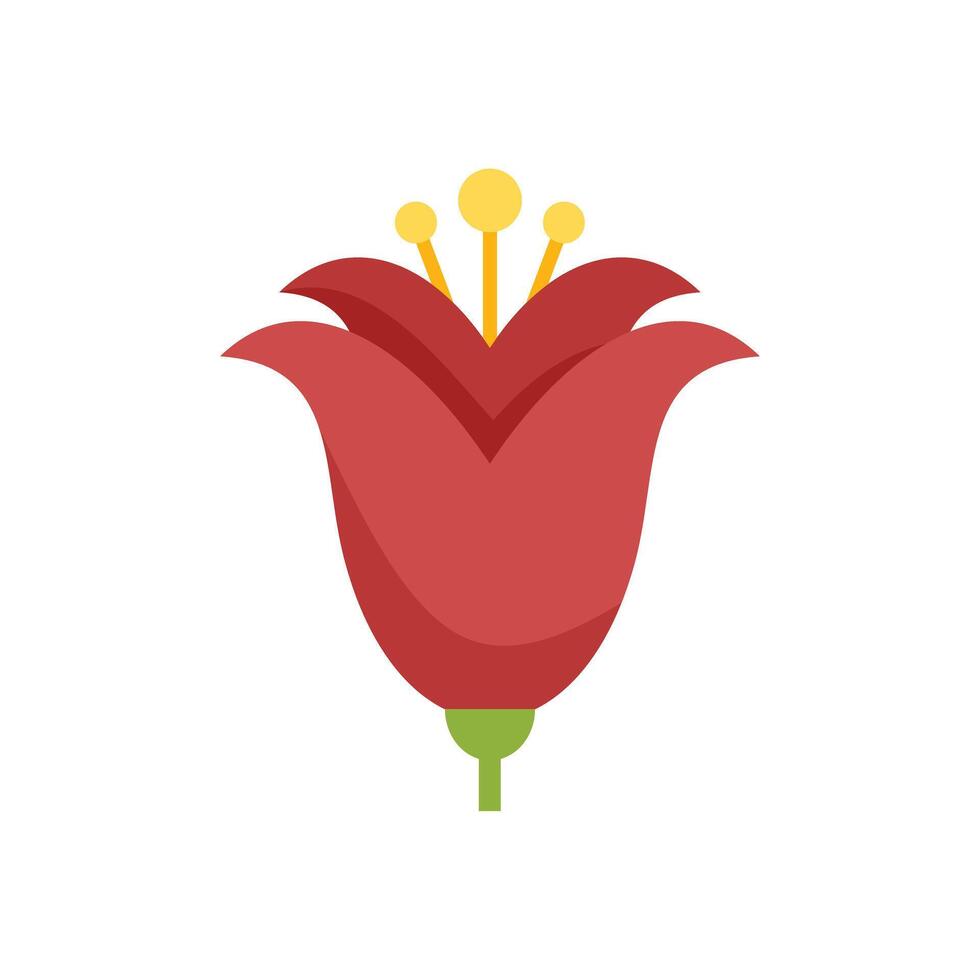 Red flower blooming with yellow pistils on white background vector
