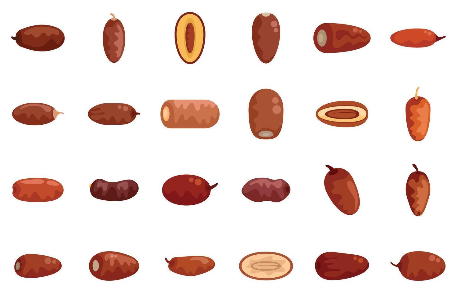 Set of dates fruit icons showing different sorts of dates vector