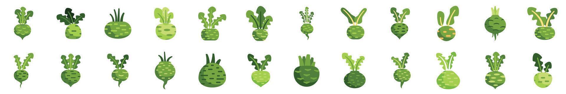 Set of kohlrabi cabbage icons showing different root vegetables vector