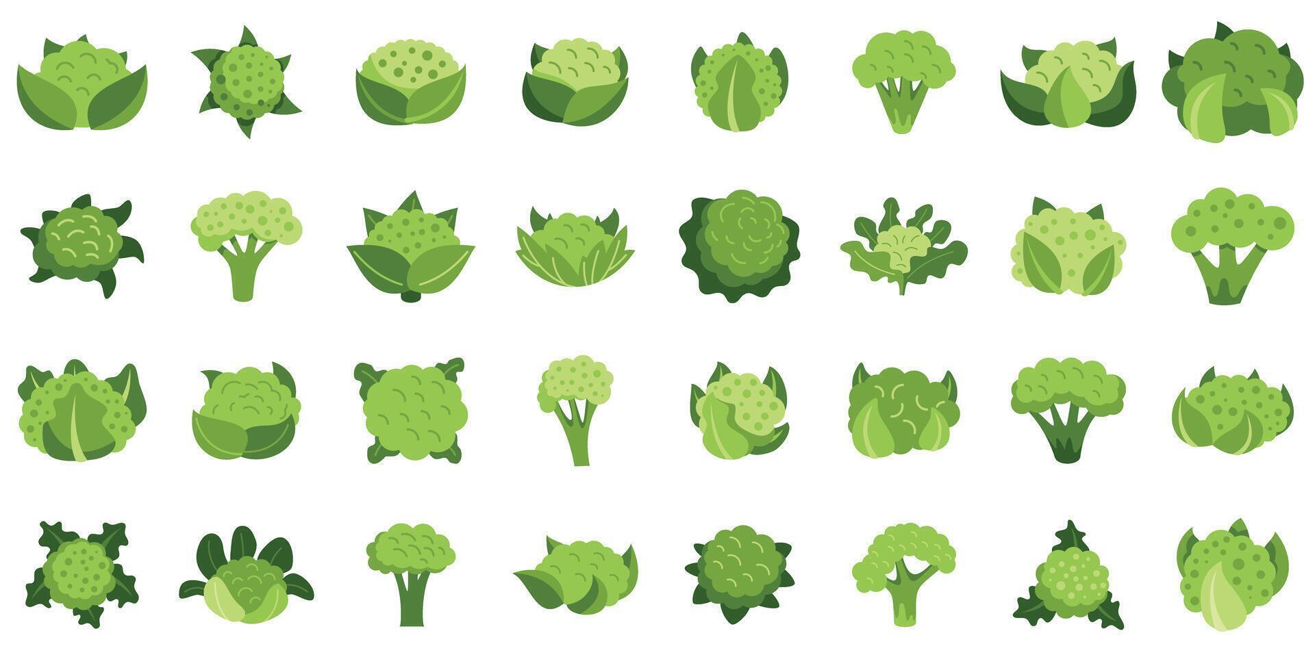 Set of green cauliflower icons showing different styles and varieties of this healthy vegetable vector