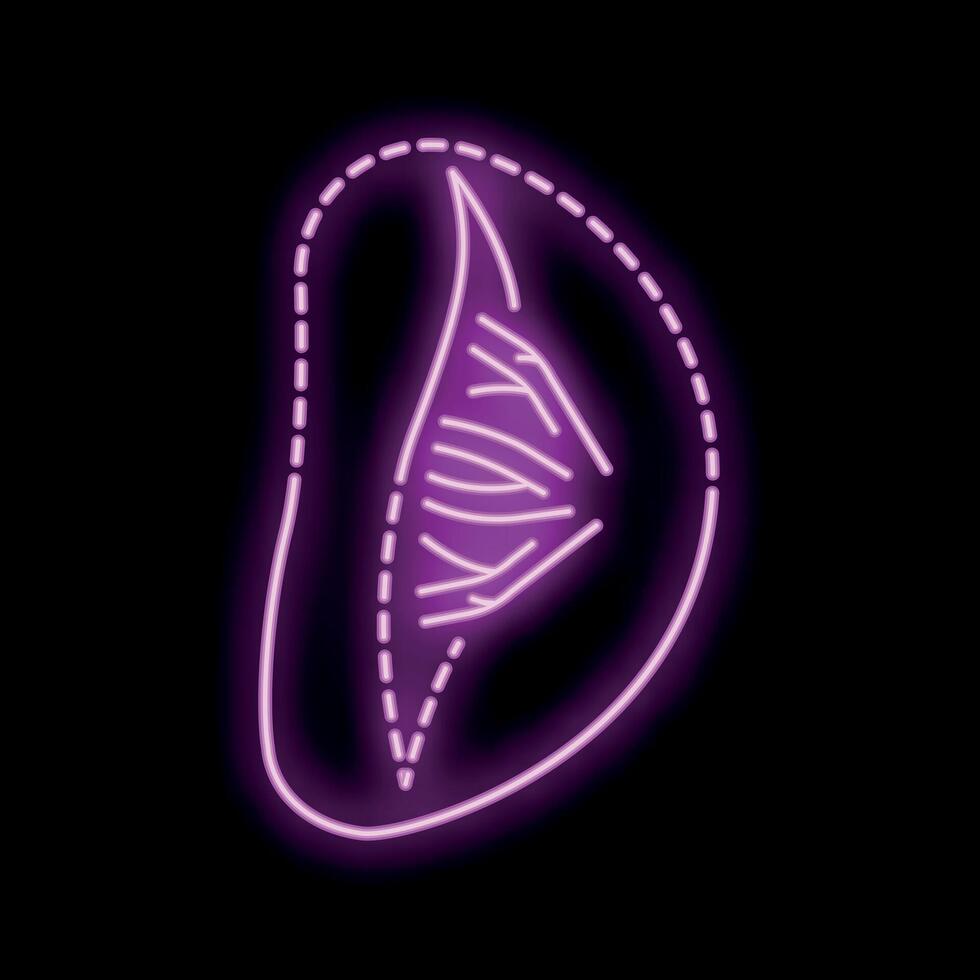 Neon pink apricot sign glowing on black background vector