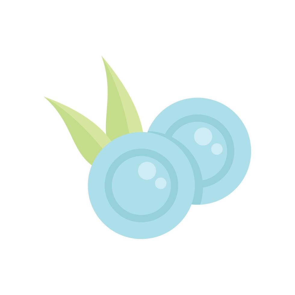 Two blueberries with leaves growing in harmony vector