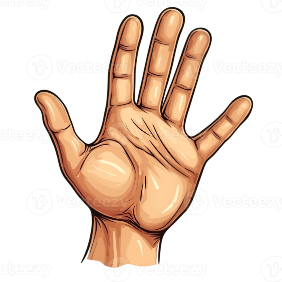 Cartoon Hand , Gesture Drawing png