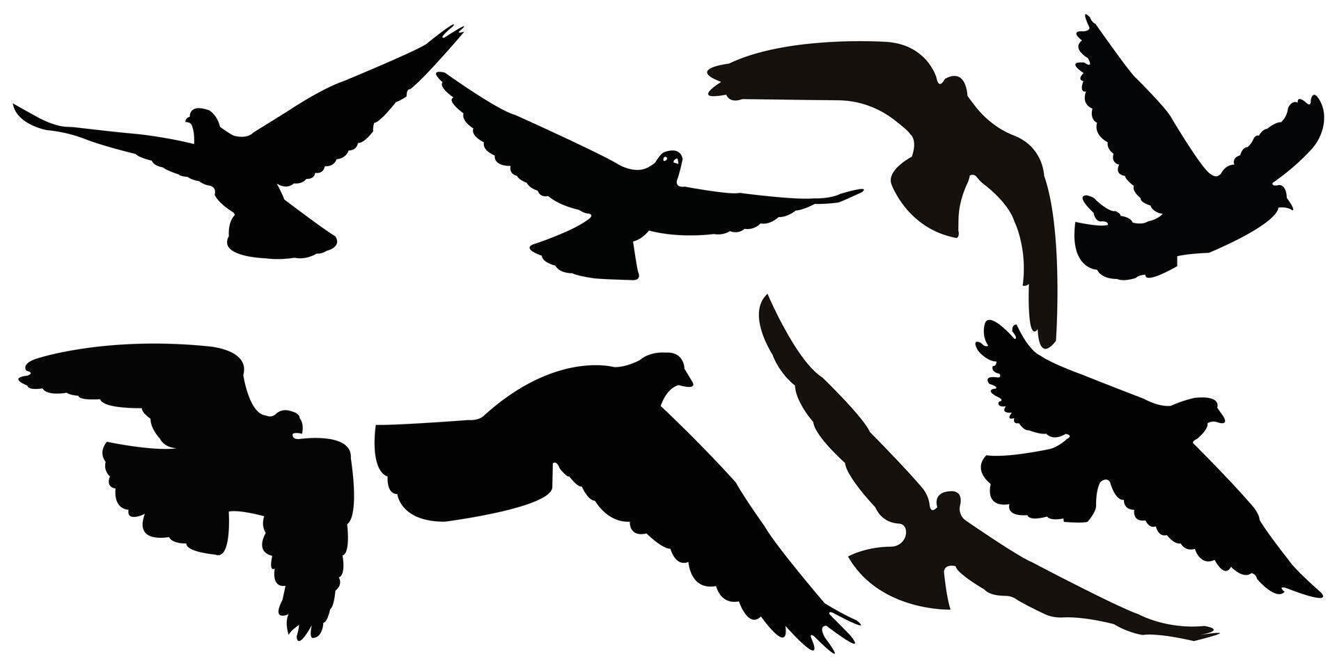 Flying Bird Silhouette Clip Art vector