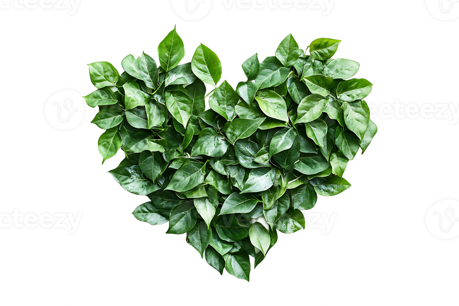 Green leaves forming a heart design isolated on transparent background. png