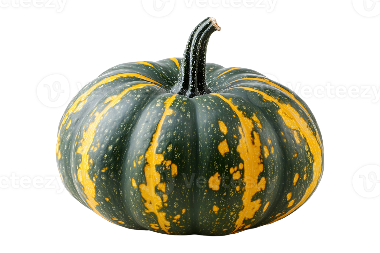 Green and yellow pumpkin isolated on transparent background. png