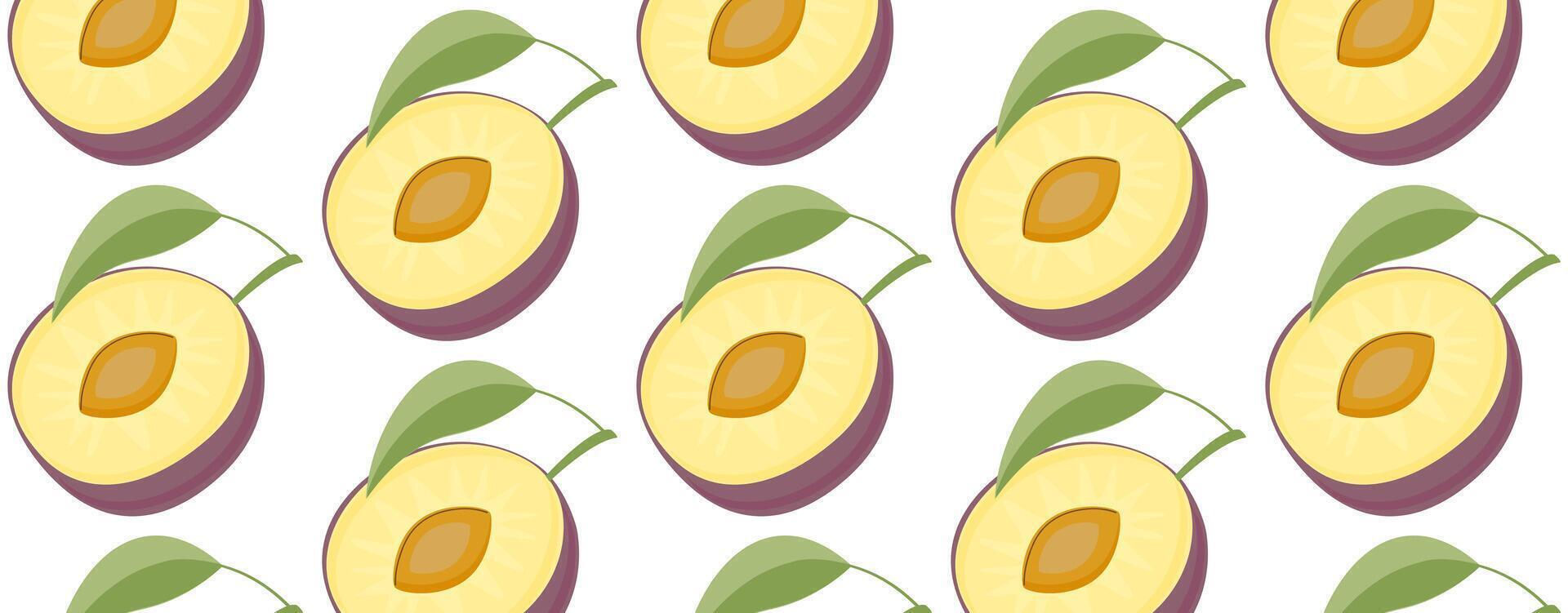 Seamless pattern plum fruit on a white background. vector