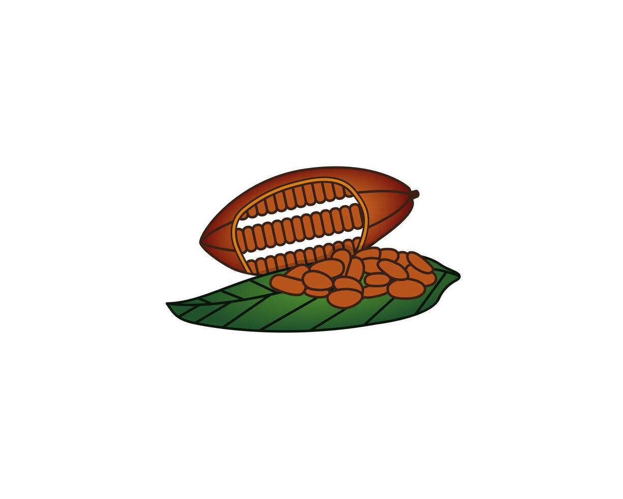 natural cacao illustration art, cacao bean design logo vector