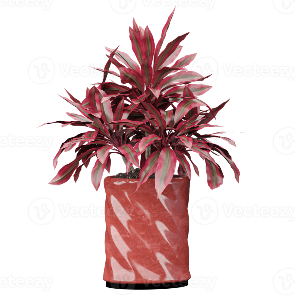 3d rendering of Tropical fern plant in pot on transparent Canvas png