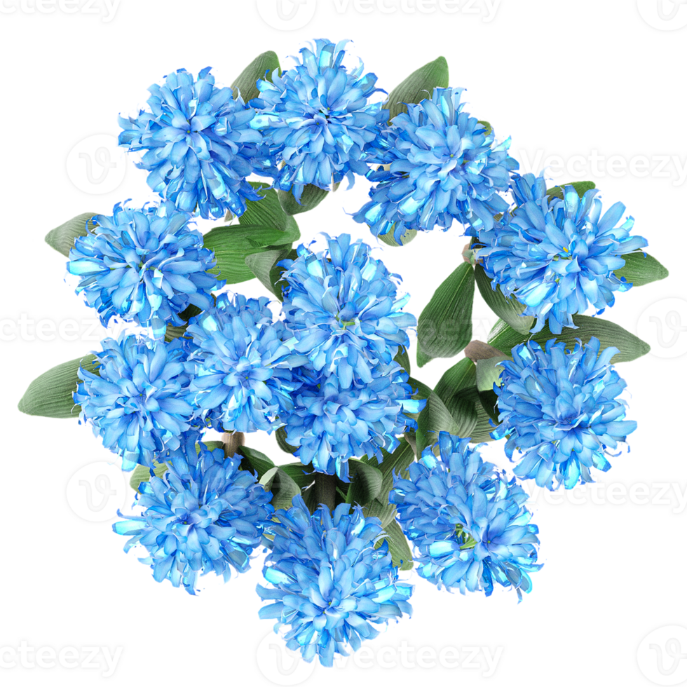 3d rendering of Heliotropium arborescens plant isolated on transparent Canvas from top view png
