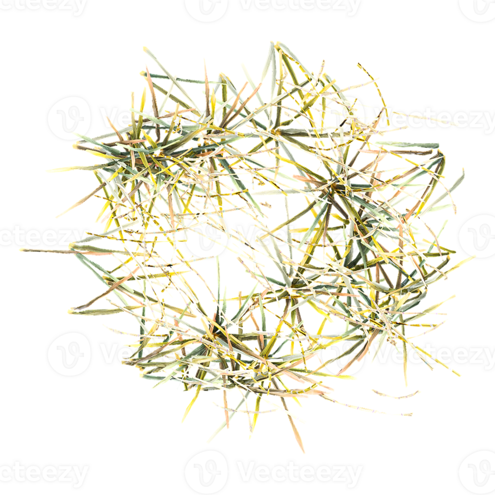 3d illustration of grass isolated On transparent Canvas from top view png
