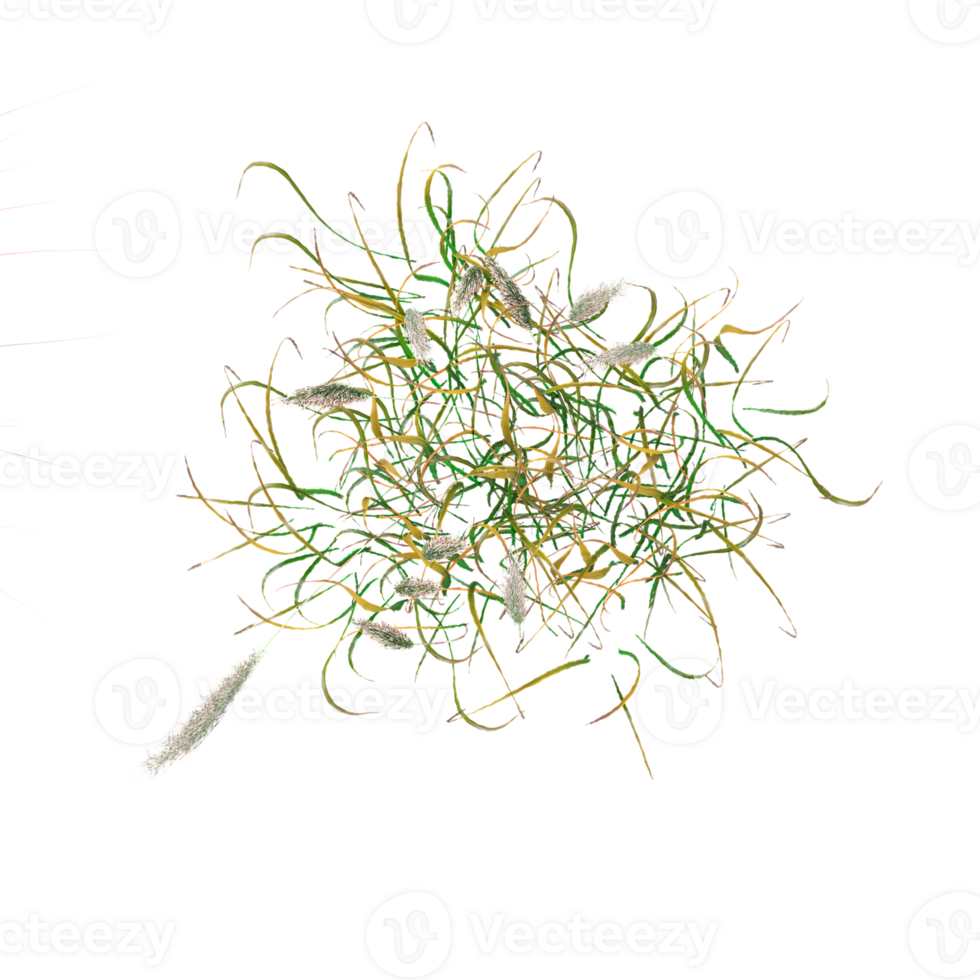From the top view of Lawn Grass for architecture visualization png