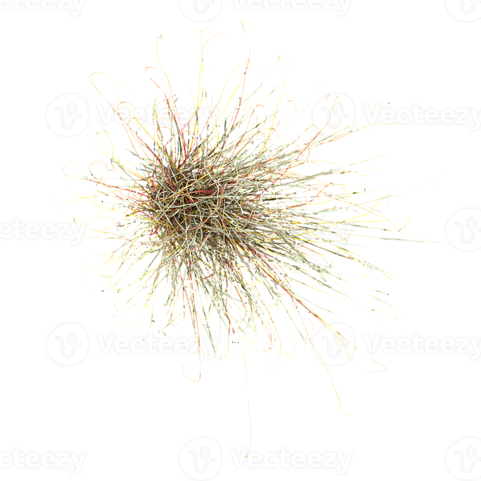3d illustration of Alop Grass isolated on transparent canvas from top view png