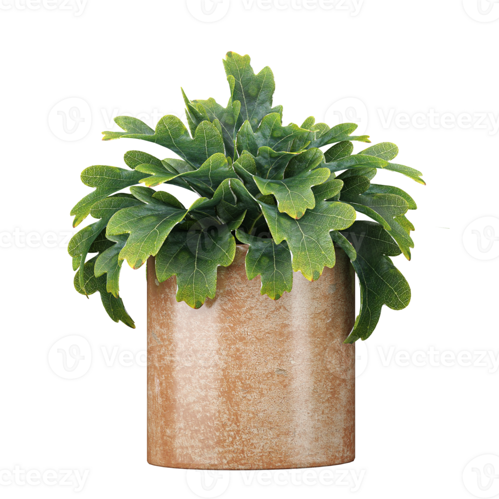 3d Rendering Of Indoor Plant in pot With Transparent Canvas png