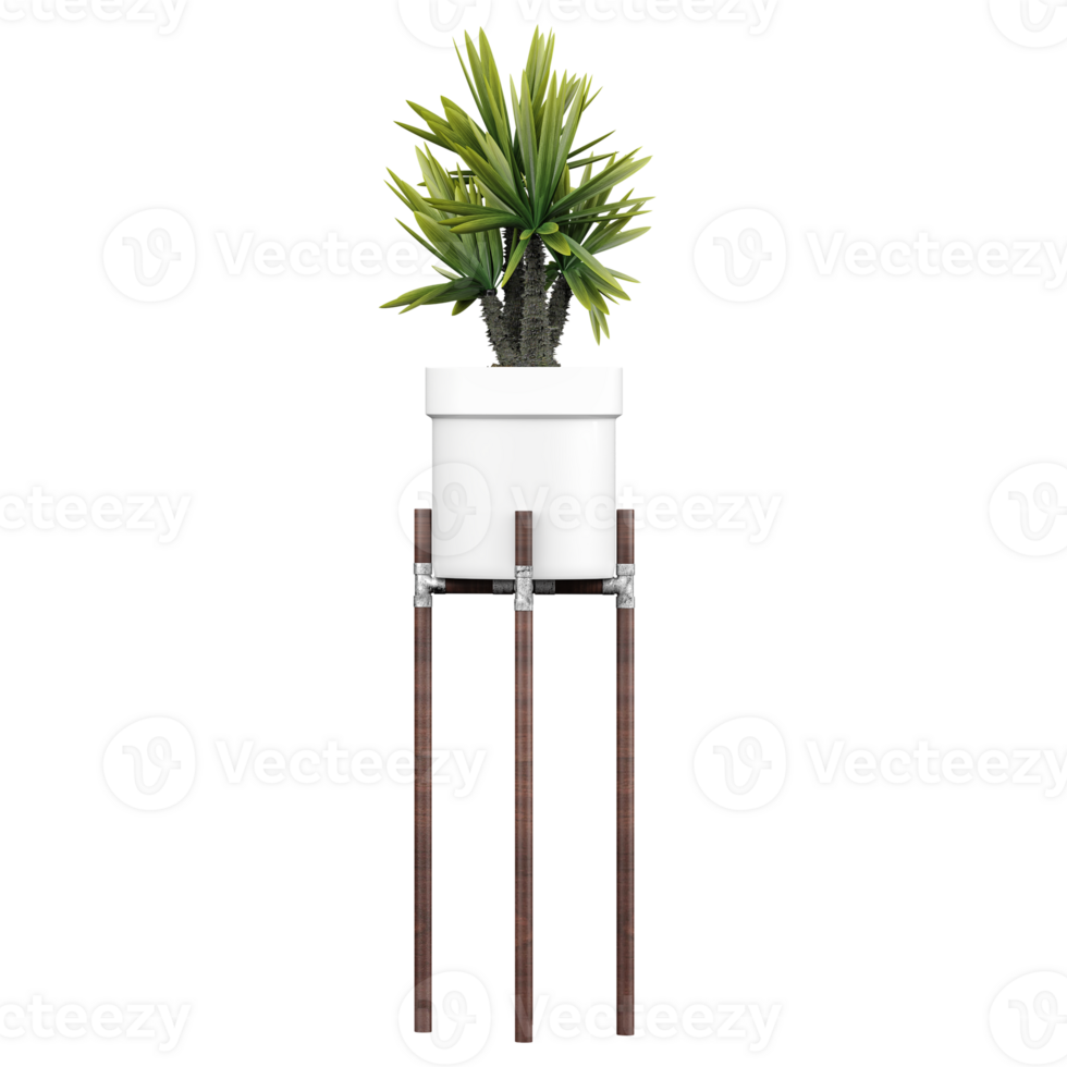 3d Rendering Of Indoor Plant in pot With Transparent Canvas png