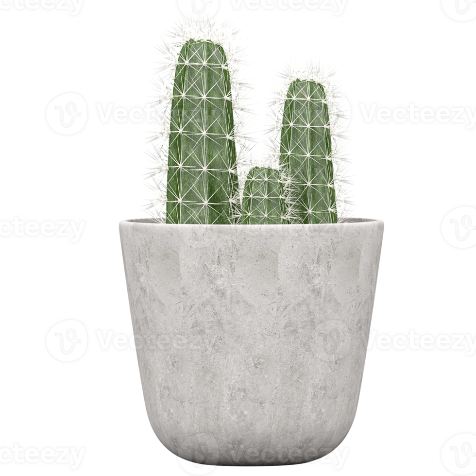 3d illustration of Saguaro Cactus isolated on transparent canvas png