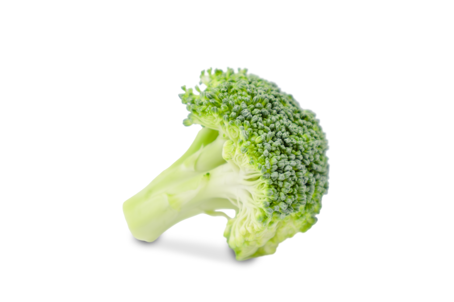 Bright green broccoli displayed on transparent backdrop png