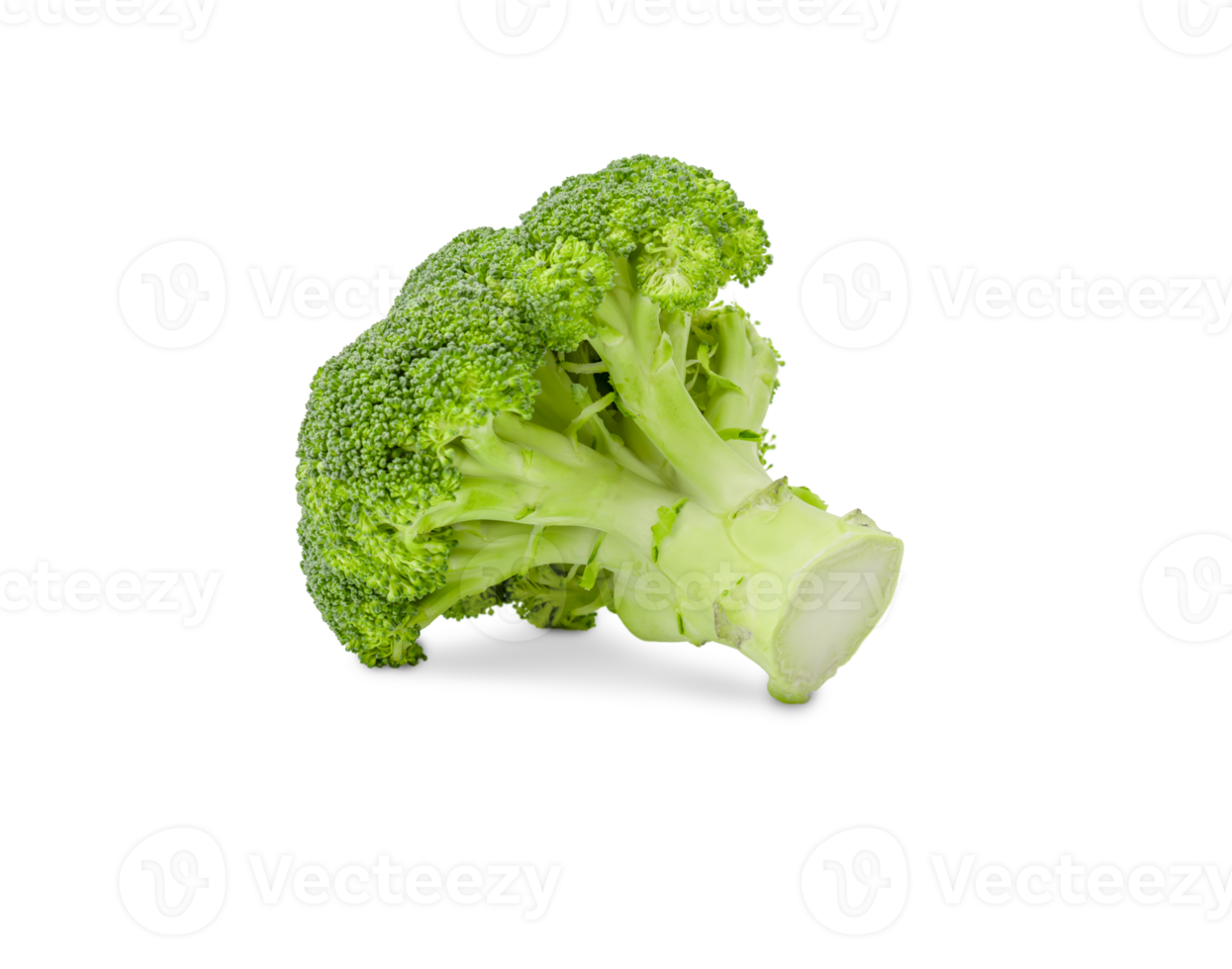 Fresh broccoli isolated on transparent background png