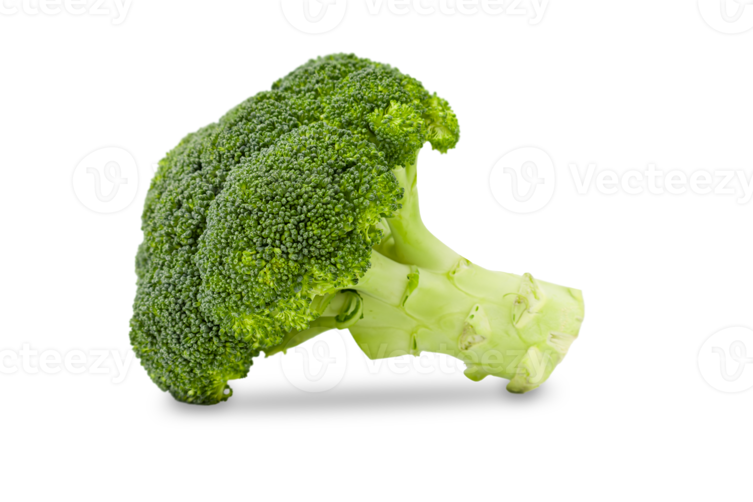 Fresh broccoli isolated on transparent background png