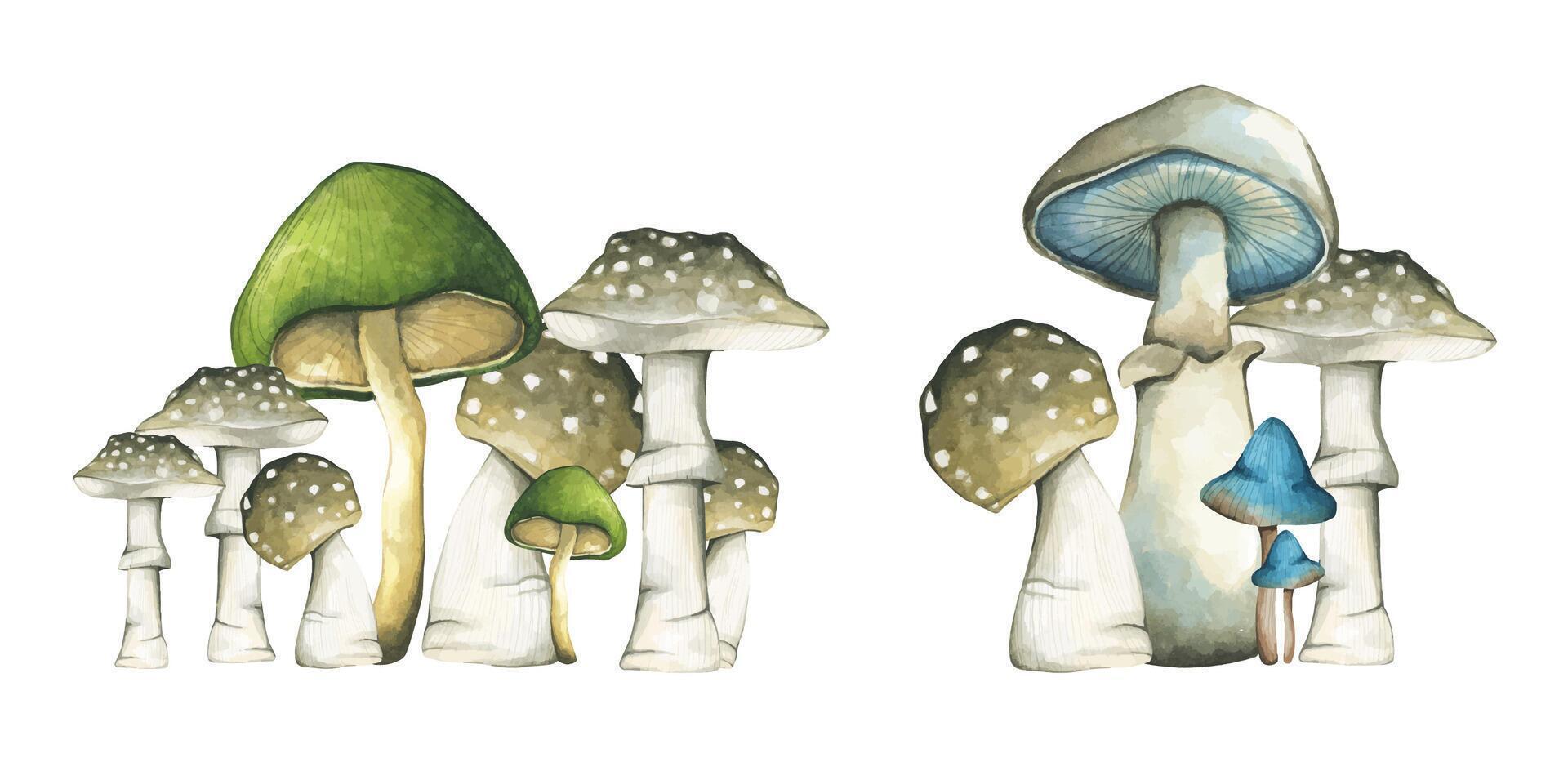 Mushrooms plants elements illustration watercolor style collection. vector